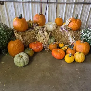 Fall Harvest Decoration.