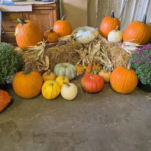 Fall Harvest Decoration.