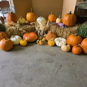 Fall Harvest Decoration.