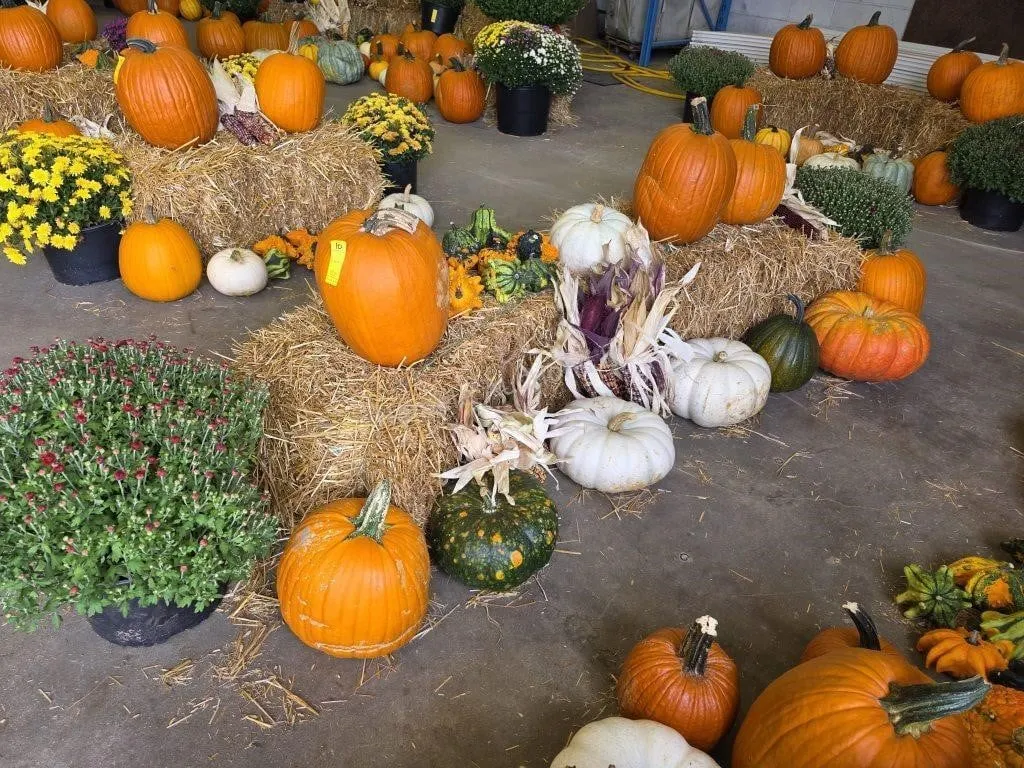 Fall Harvest Decoration.