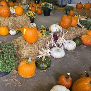 Fall Harvest Decoration.