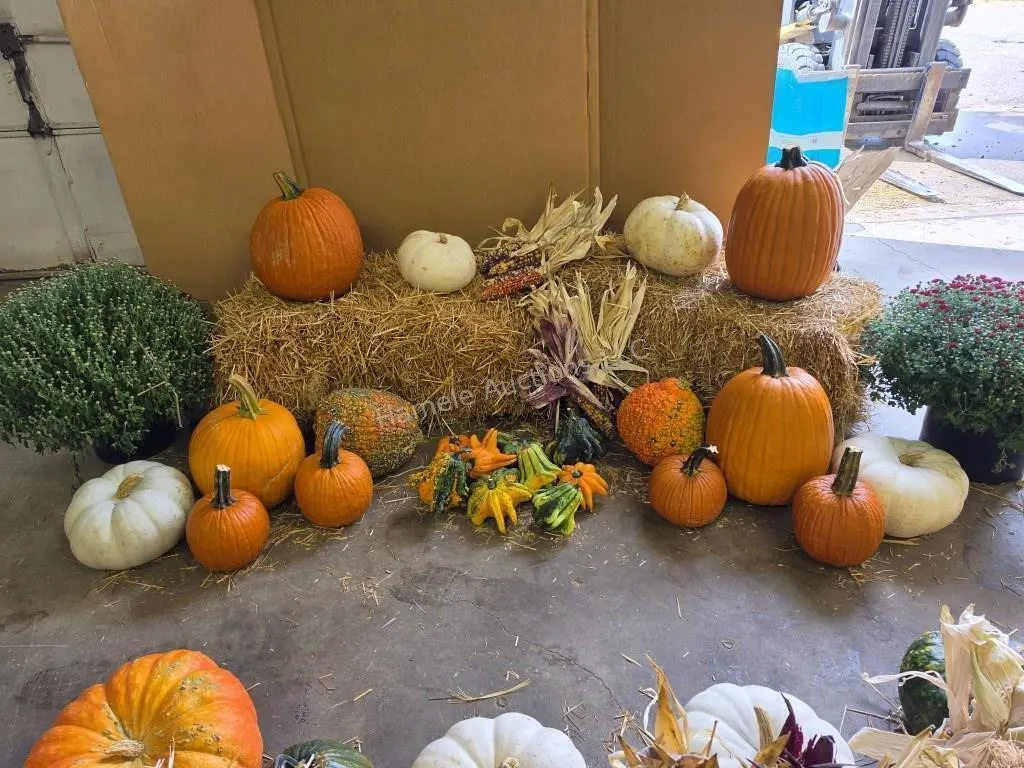 Fall Harvest Decoration.