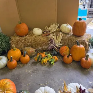 Fall Harvest Decoration.