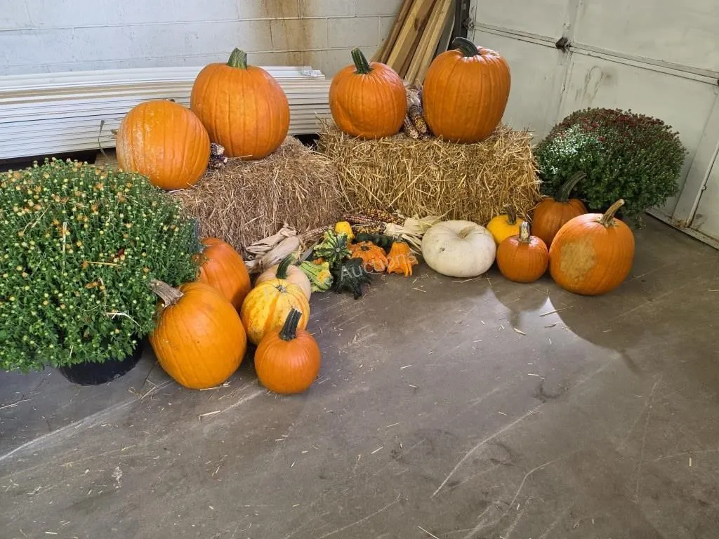 Fall Harvest Decoration.