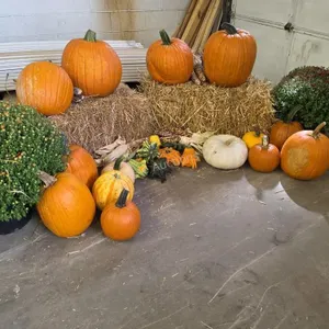 Fall Harvest Decoration.