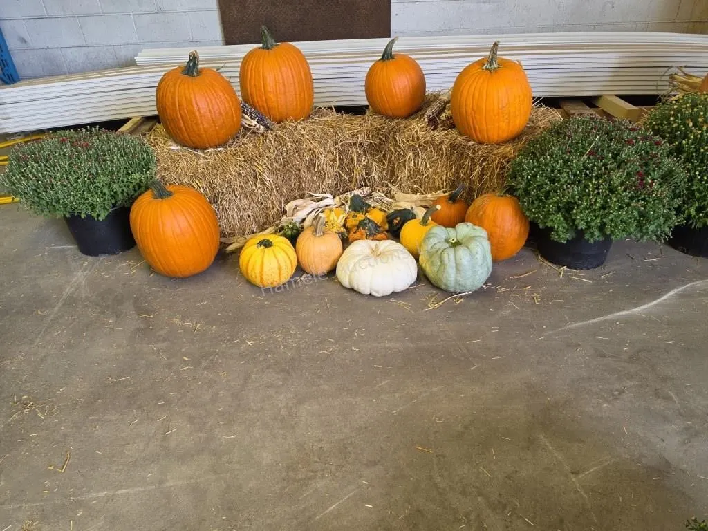 Fall Harvest Decoration.