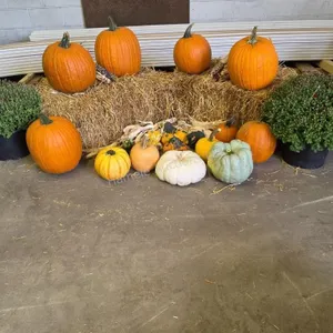 Fall Harvest Decoration.