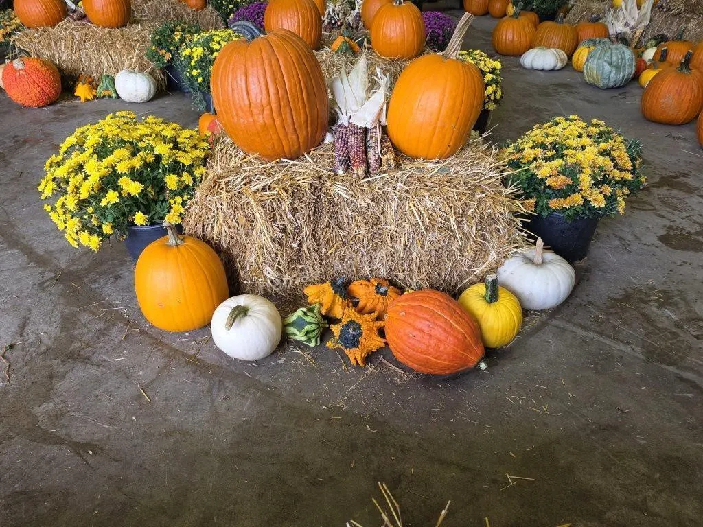 Fall Harvest Decoration.