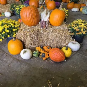 Fall Harvest Decoration.