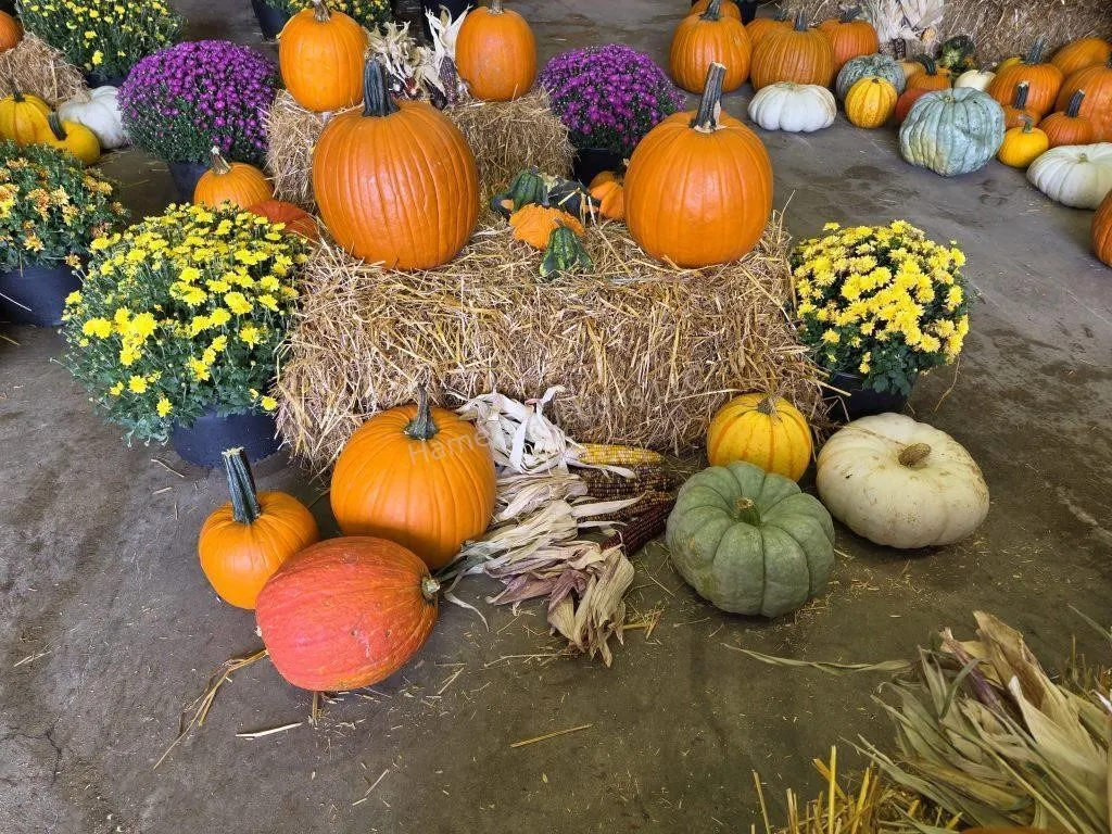 Fall Harvest Decoration.