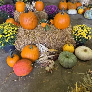 Fall Harvest Decoration.