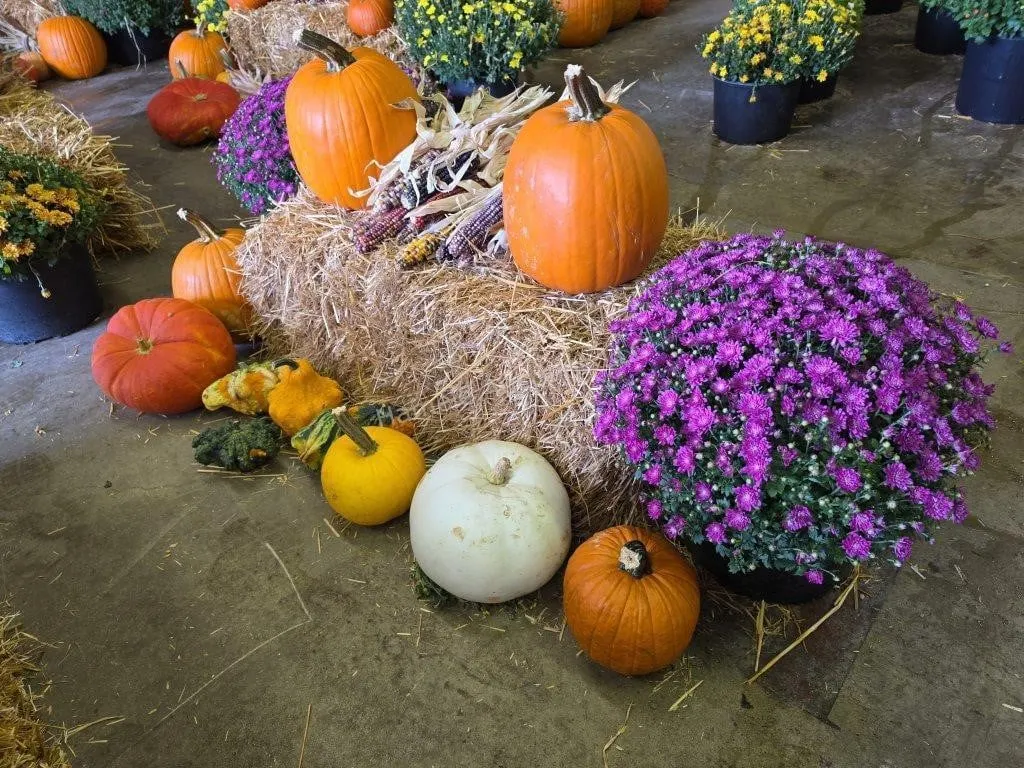 Fall Harvest Decoration.