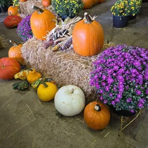 Fall Harvest Decoration.