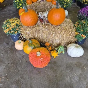 Fall Harvest Decoration.