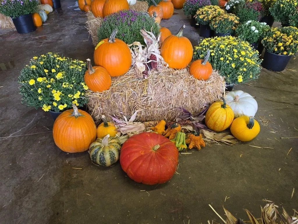 Fall Harvest Decoration.