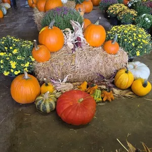 Fall Harvest Decoration.