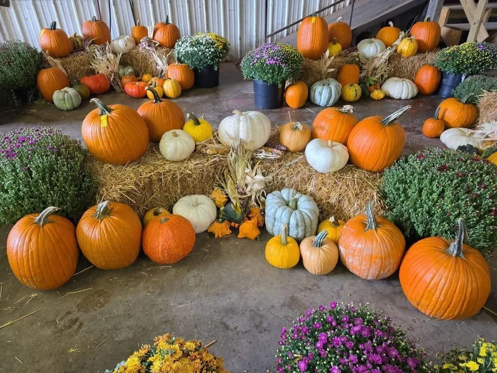 Fall Harvest Decoration.