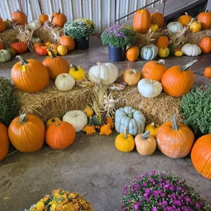 Fall Harvest Decoration.