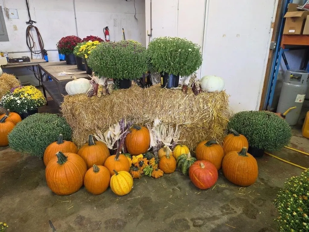 Fall Harvest Decoration.