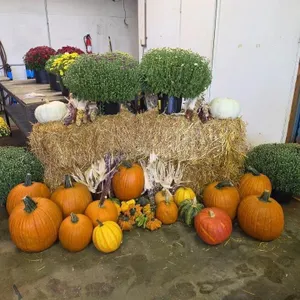 Fall Harvest Decoration.