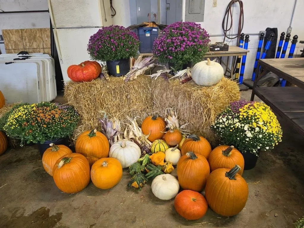 Fall Harvest Decoration.