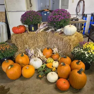 Fall Harvest Decoration.