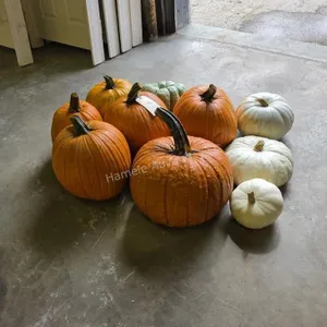 6 Large Pumpkins and assorted Gords