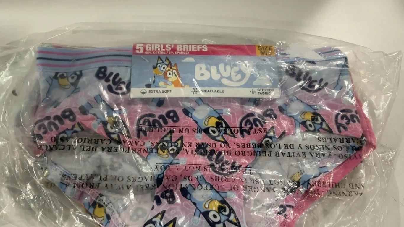 Bluey Girls Briefs Size M 5 Pack