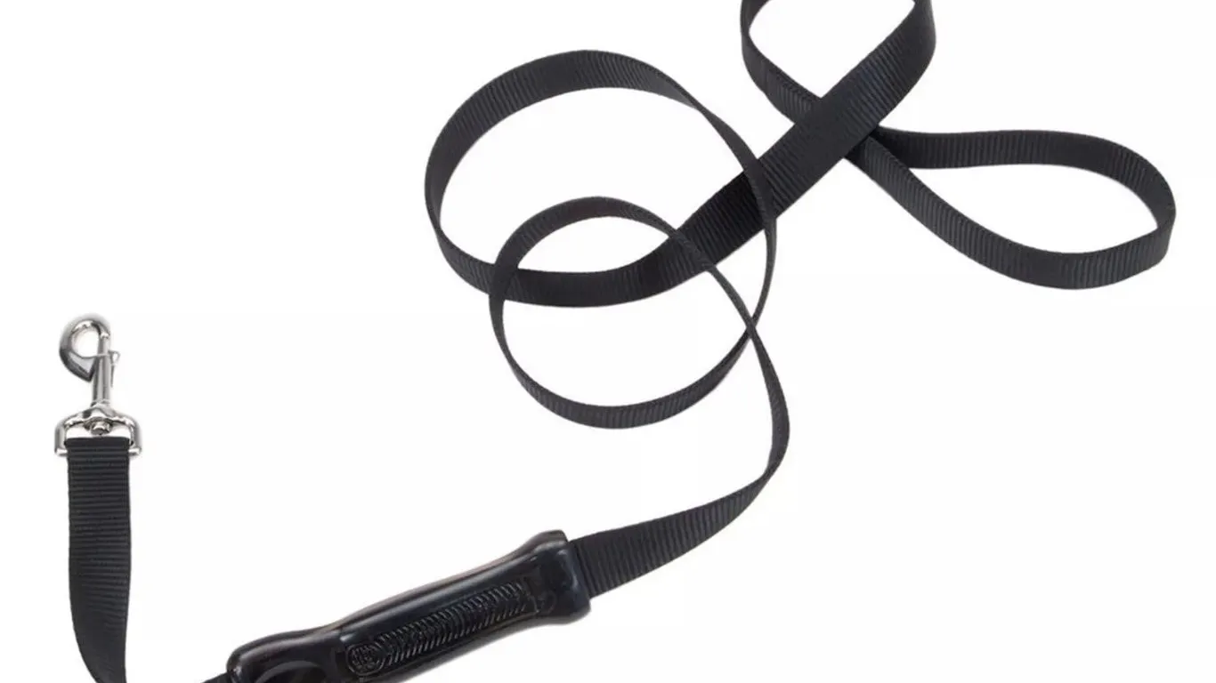 Coastal Insta-Grip Control Dog Leash 1 x 6
