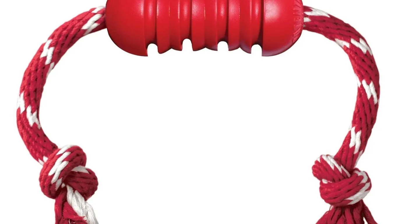 Kong Dental Rope Dog Toy Medium
