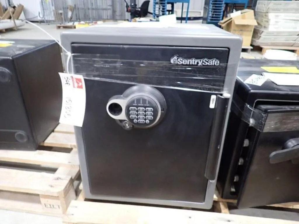 Sentry 24 In. x 19 In. Electronic Safe