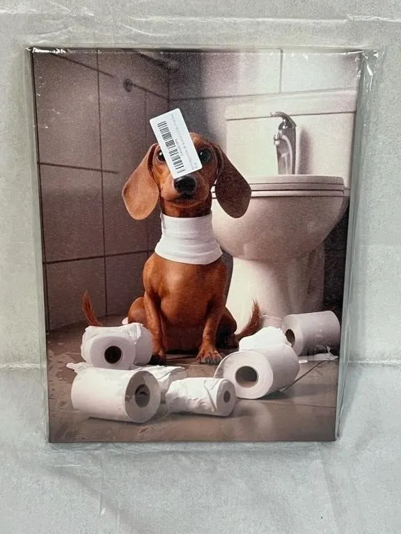 New Canvas Wall Art - 16 inch x 12 inch