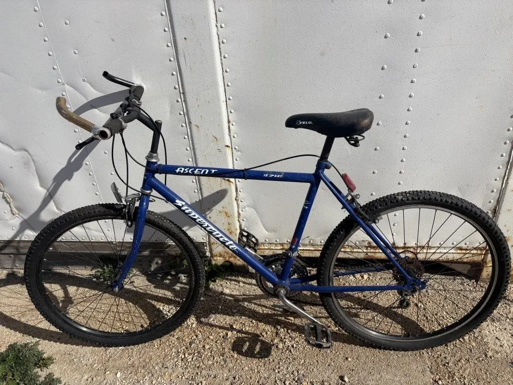 Supercycle Ascent 12-Speed Mountain Bike