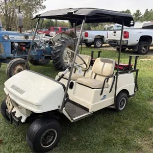Par Car Gas Golf Cart