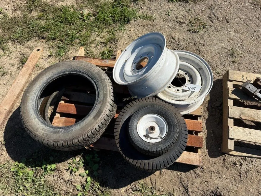 Lawn Mower Tires, 8 Bolt Rims, Tire