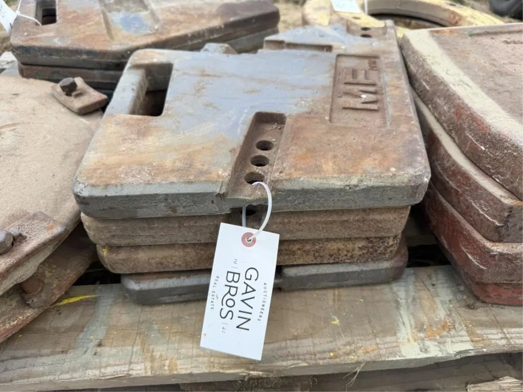 (4) MF Suitcase Weights