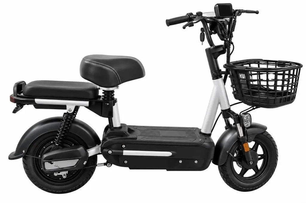 2026 FUTURE Electric Bicycle - FT-E48