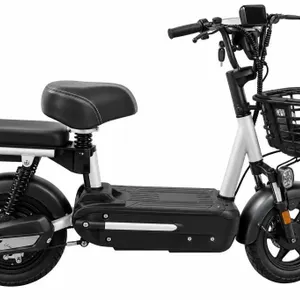 2026 FUTURE Electric Bicycle - FT-E48
