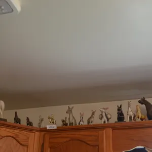 Large Assortment of Horses, Bison, Mules Figurines
