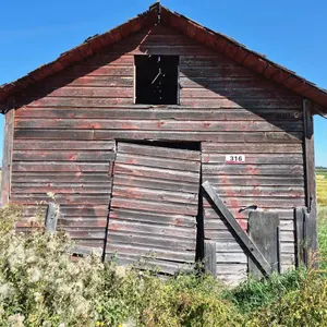 Wooden Frame Storage Shed
 UNRESERVED