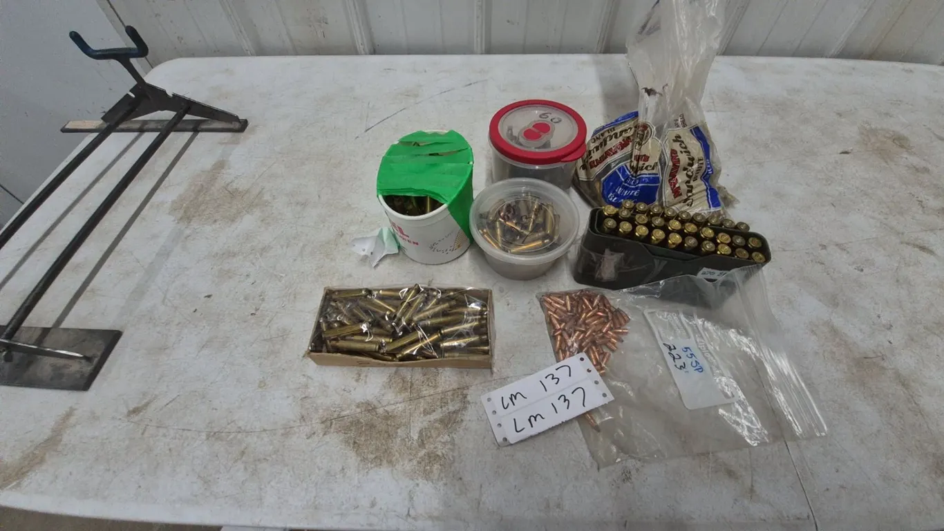 Reloading Brass Casings and Bullets: .223, .308, and .270 Win