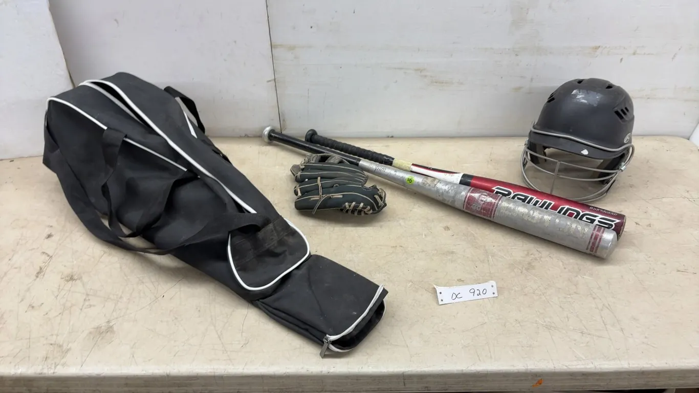 Rawlings Batting Helmet, 2 Bats, Glove and Carry Bag