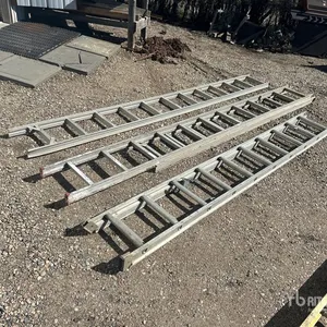 Quantity of (3) Ladder