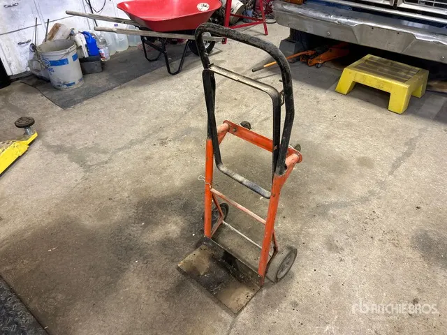 15 in Dolly