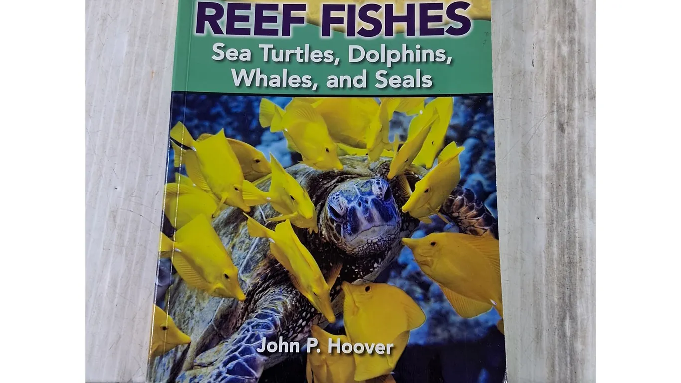 Ultimate Guide Hawaiian Reef Fishes, Sea Turtles Dolphins, Whales, Seals Book John P Hoover