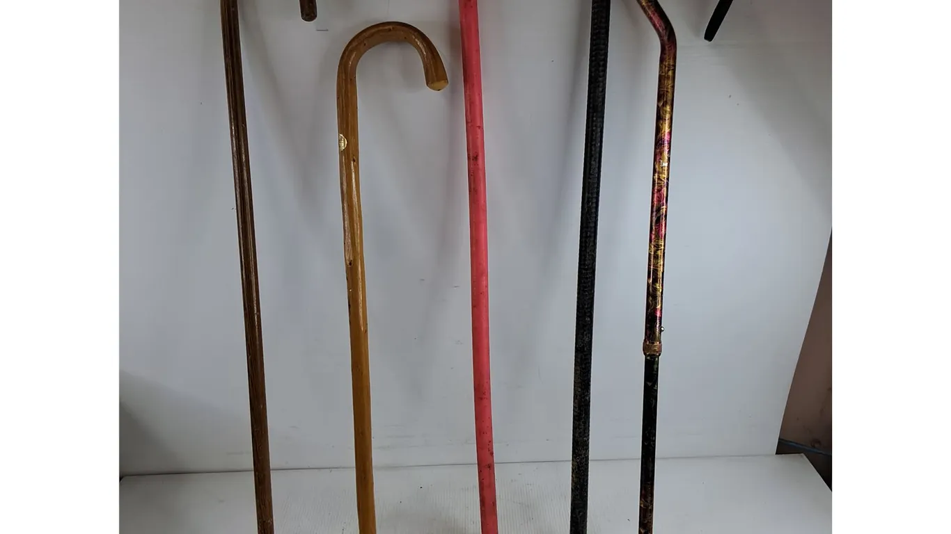 Assorted Canes