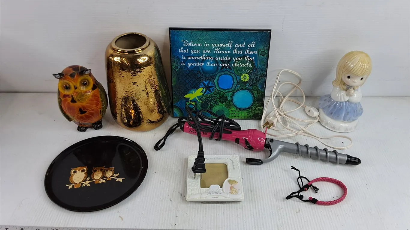 Revlon Hair Curler, Wall Plaque, Light Up Angel Decor, Picture Frame, Vase, Owl Ornament, Misc