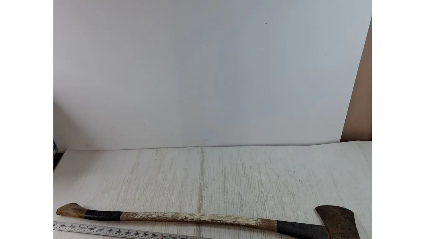 Wood Chopping Camping Axe As-Is