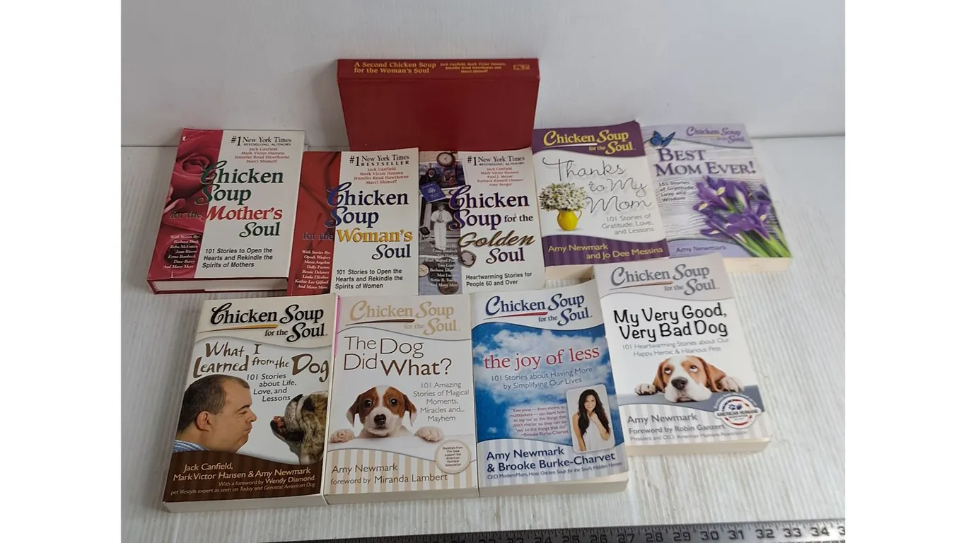 (10) "Chicken Soup" Self Help/Inspirational Books
