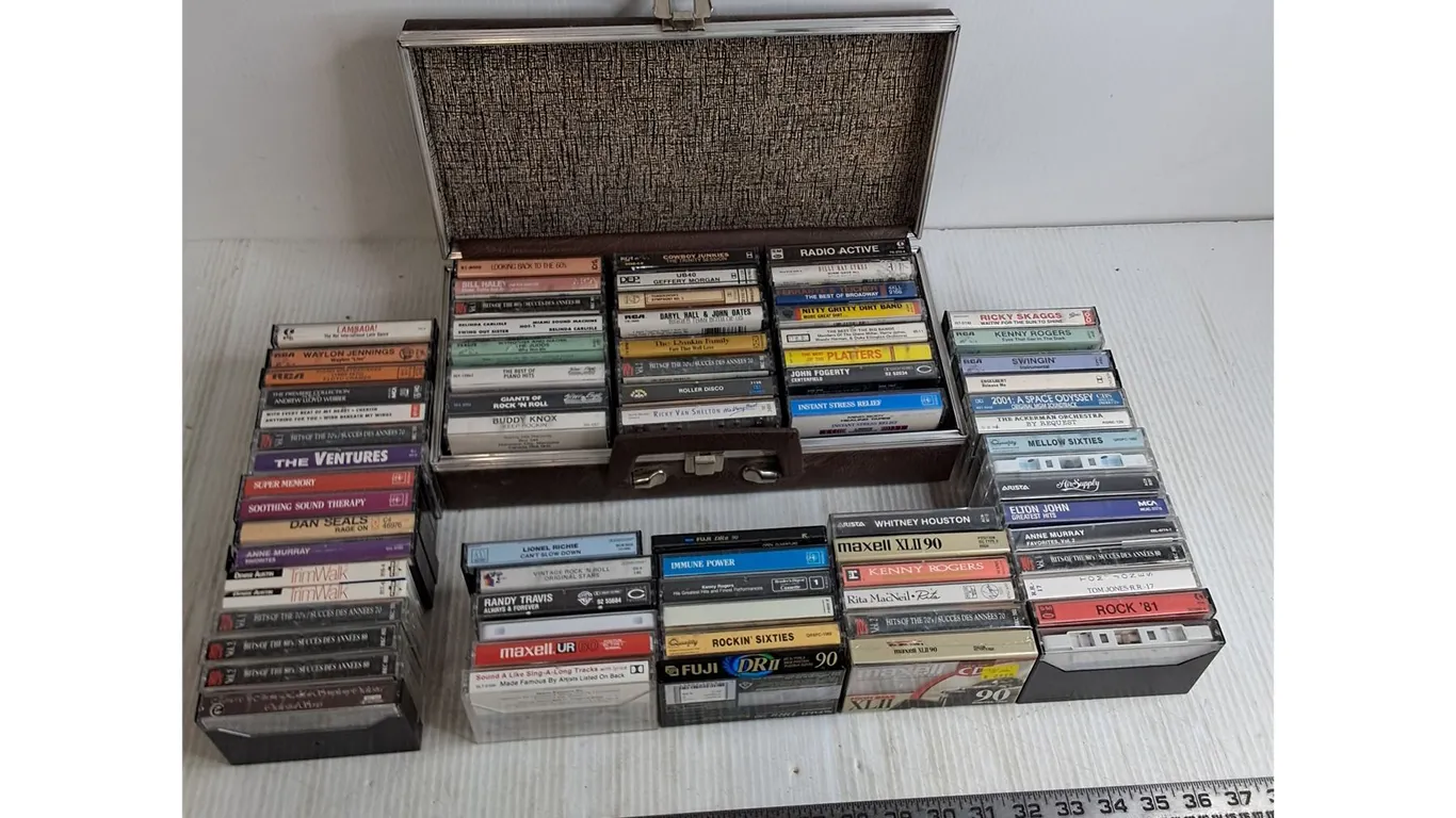 (70+) Cassettes including Blanks & Dubs, 24 Cassette Storage Tote